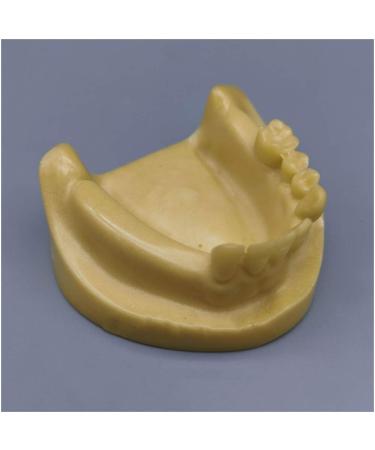 Fhuili teeth implant model - teeth lessons model the planting practice model - simulation oral dental teeth demonstration model - lower half teeth model for study lessons a