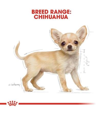 Royal Canin Chihuahua Junior Dog Food 0.5 kg - Buy Online on GoSupps.com