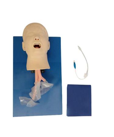 Intubation Model & Airway Management Trainer | Expert Manikin for Oral & Nasal Training | Ideal Teaching Simulator for Lab & School Education - Buy Online on GoSupps.com