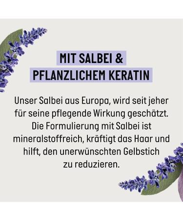 Guhl Ikebana Guhl SILBER SHINE AND CARE Shampoo 50ml - Buy Online on GoSupps.com