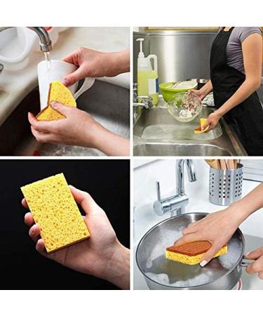 domoi Natural Plant Based Scrub Sponge 8 Pack Palm Fiber Scrubber Sponge with Non Scratch Biodegradable Compostable Sponges - Buy Online on GoSupps.com