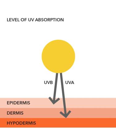 Dr. Dennis Gross Lightweight Wrinkle Defense Broad Spectrum Sunscreen All-Physical - SPF 30 - 1.7 oz - Buy Online on GoSupps.com