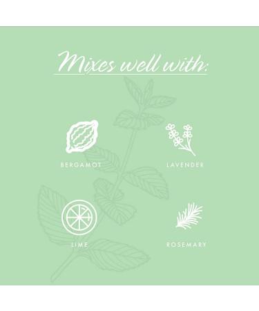 Buy Now Foods Organic Spearmint Essential Oil 1 fl oz | 100% Pure Aromatherapy - Buy Online on GoSupps.com