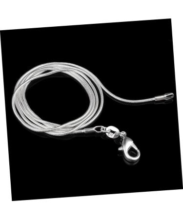 Holibanna Sterling Silver Necklace Silver Plated Necklace Lobster Clasp Chain Necklace European and American Accessories - Buy Online on GoSupps.com