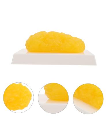 ULTECHNOVO 2pcs Fat Model Plastic Demonstration Device Plastic Anatomical Fat Birthday Headband Body Fat Module - Buy Online on GoSupps.com