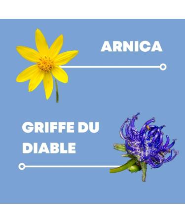Solldol | Decontracturant musculaire fort au Harpagophytum Extra Fort Griffe du diable et Chanvre | Cervicales douloureuses arthrose Sciatique Tendinite Pain - Made in Italie -100ml - Buy Online on GoSupps.com