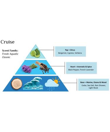 MA Herbals Cruise Bergamot & Sea Salt Citrus Natural Fragrance | Notes of Lemon Verbena Neroli Black Pepper Ozone White Musk | Long Lasting Fresh Acqua Perfume made with Essential Oils Cruise (Bergamot Sea Salt Light Musk) - Buy Online on GoSupps.com