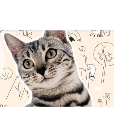 Grau L'original Cat Food for Cats Poultry and Salmon with Super Food Pack of 1 (1 x 400 g) Gluten Free for Adult Cats - Buy Online on GoSupps.com