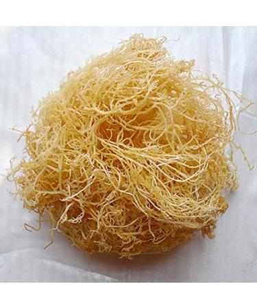 Mousse de mer pour plats froids 100 % algues s ches 500 g - Buy Online on GoSupps.com