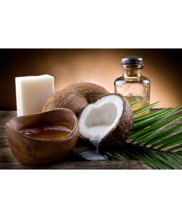 CEO Caf - Brazilian Arabica Coffee Enriched with Yung Kien Ganoderma Mushroom and Coconut Oil - Made with Natural Cane Sugar - Buy Online on GoSupps.com
