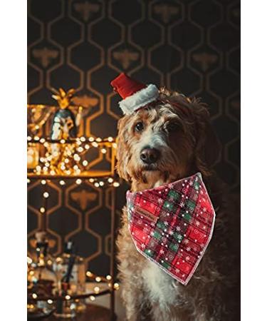 Lionheart Glory Dog Haller Washable Cotton Christmas Neckerchief for Small Dogs - Adjustable Green & Red Check Neck Towel (1 Pack) - Buy Online on GoSupps.com
