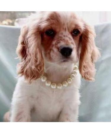 RayMinsino Adorable Pet Pearl Collar Adjustable Cat Dog Pet Necklace Jewelry Chihuahua York Girl Clothing Dress Accessories White - Buy Online on GoSupps.com