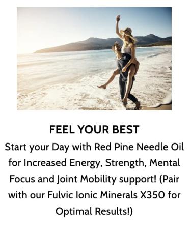 Optimally Organic Wild Crafted Red Pine Needle Oil - Fresh Light Pine - 2 Fl Oz. - Buy Online on GoSupps.com