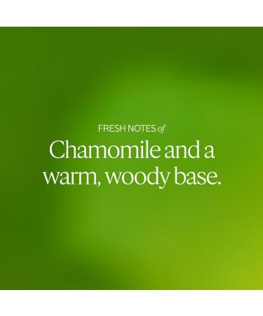 L'OCCITANE Hand Cream: Nourishes Very Dry Hands Protects Skin With Shea Butter Vegan Lavender Cherry Blossom Rose Neroli Orchidee Verbena Peony Barbotine Barbotine 1 Ounce (Pack of 1) - Buy Online on GoSupps.com