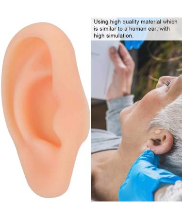 Professional Simulated Ear Model for Acupuncture & Massage Practice - Right Ear Demo Tool - Buy Online on GoSupps.com