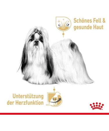 Royal Canin Shih Tzu Adult Mousse Double Pack - 2 x 12 x 85g | Wet Dog Food for Adult Shih Tzus | Supports Fur & Digestion | Senior Dogs 10+ Months - Buy Online on GoSupps.com