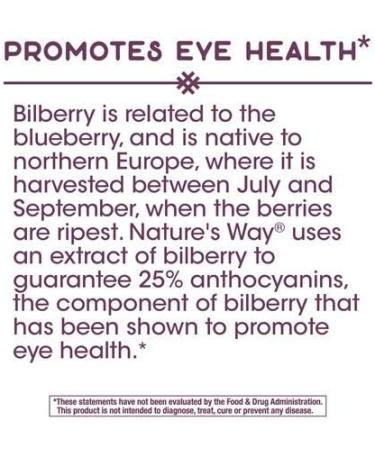 Nature's Way Bilberry Standardized Extract - 90 Veg Capsules - Buy Online on GoSupps.com