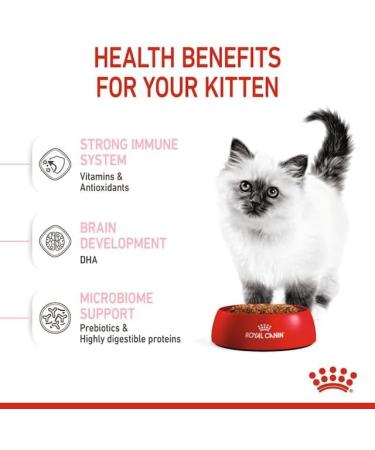 Royal Canin Kitten Dry Food 400g Poultry 400 g (Pack of 1) - Buy Online on GoSupps.com