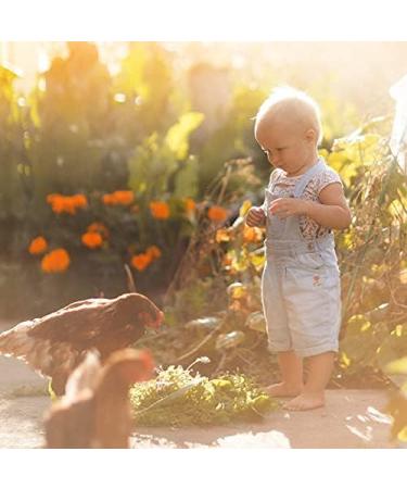 Ida Plus Herb Mixture for Chickens - 19 Natural Herbs for Digestion & Health - 500g Balanced Poultry Food - Buy Online on GoSupps.com