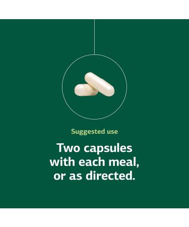 Standard Process Inc. Lact-ENZ - Whole Food Immune Support Digestion and Digestive Health with Bifidobacterium Longum Cellulase Protease Amylase Lipase Maltodextrin and More - 90 Capsules 90 Count (Pack of 1) - Buy Online on GoSupps.com