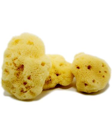 Crigema Menstrual Sponge - Eco-Friendly Reusable Alternative to Tampons & Cups with Jute Hygiene Bag | 10x5-7 cm - Buy Online on GoSupps.com