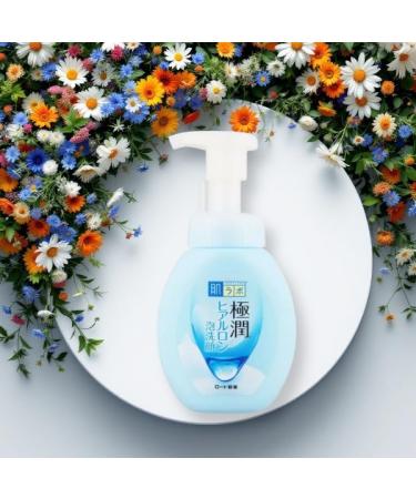 Cleansing Foam compatible with Hada Labo Rohto foaming formula facial cleansing foam 160 ml