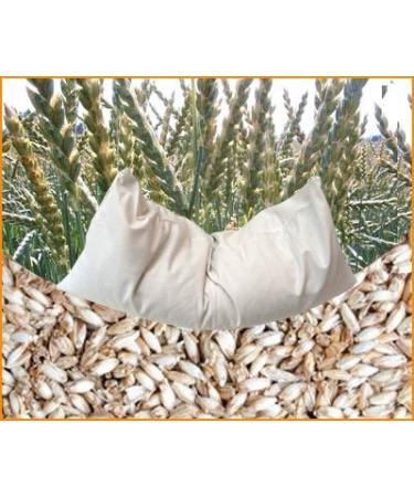 Organic spelt pillow 40 x 40 cm with lining made of 100% organic cotton