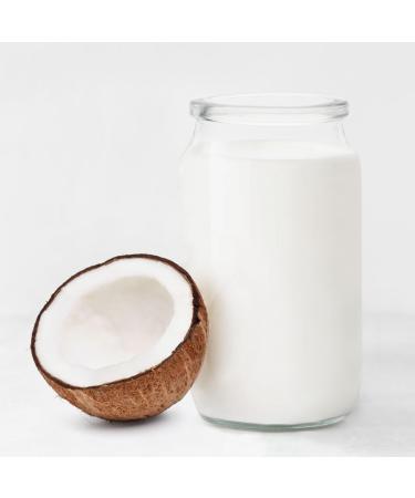 AROY-D Lait de noix de coco Lait de noix de coco 250 mililitres x 12 pi ces avec picerie pufai - Buy Online on GoSupps.com