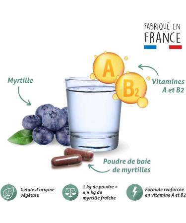 BLANCHE BRESSON - Phyto Blueberry - Night Visual Comfort - Night Glare & Visual Support - Rich in Vitamins A and B2-540mg/day - 60 capsules - 1 month cure - Made in France - Buy Online on GoSupps.com