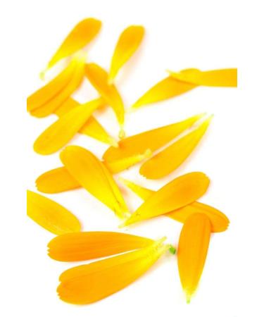 Calendula Petals Pure Dried Marigold Flower Petals Vegan Non-GMO Gluten Free - 0.35oz / 10g - Buy Online on GoSupps.com