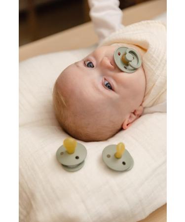 BIBS Colour Pacifier 2-Pack - BPA-Free Jaw-Friendly Natural Rubber | Fossil Grey/Mauve | 0-6 Months | Made in Denmark - Buy Online on GoSupps.com