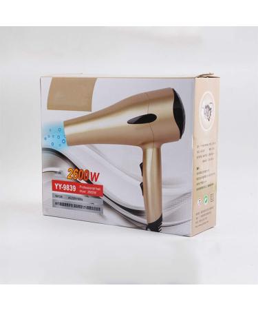 Professional Negative Ionic Salon Hair Dryer 2200W Powerful DC Motor 2 Speeds 3 Heat Settings with Collecting Nozzle Low Noise Hairdryer Constant Temperature Technology for Hair Salon Men and Women - Buy Online on GoSupps.com