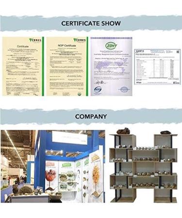 WonderLand Herbs Chaga Mushroom Extract Powder 50% polysaccharides 1.4% Betulin 3.53 Oz - Buy Online on GoSupps.com