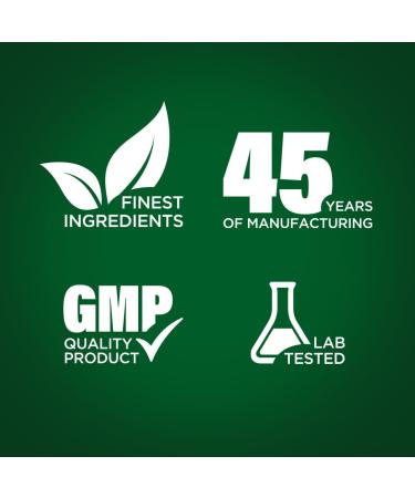 Piping Rock Chlorella | 1000mg | 120 Tablets | Blue-Green Algae | Broken Cell Wall Organic | Non-GMO Gluten Free Supplement - Buy Online on GoSupps.com