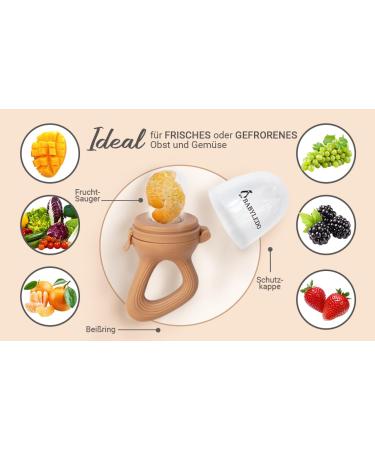 BABYLEDO Baby Fruit Pacifier with Teething Ring - Fox Brown | Safe Baby Teething Aid for Fruits & Vegetables - Buy Online on GoSupps.com