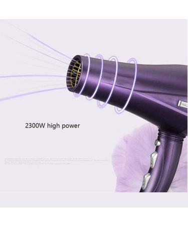 2300 Watt Powerful Hair Dryer with 2-Speed and 3 Temperature Settings Cool Shot Function Professional Salon Hairdryer Ionic AC Motor Blow Dryer with 2 Nozzle Fast Blow Dryer Purple Small Gift - Buy Online on GoSupps.com
