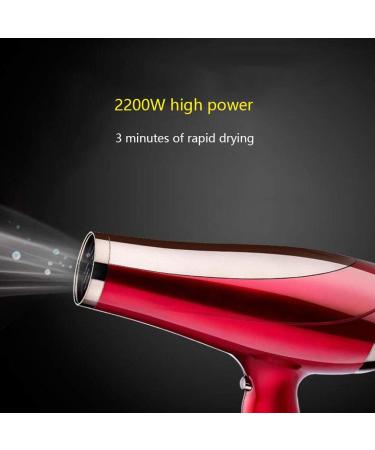 Professional Hair Dryer 2400W AC Motor Negative Ionic Technology Blow Dryer with 3 Heat & 2 Speed Setting and Cool Shot Button Concentrator Nozzle Included for Home and Salon Men and Women B Small - Buy Online on GoSupps.com