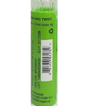 Allium Cepa 6CH Homeopathy Medicine Schmidt-Nagel Canada (Homeodel) 90 pellets/granules - Buy Online on GoSupps.com