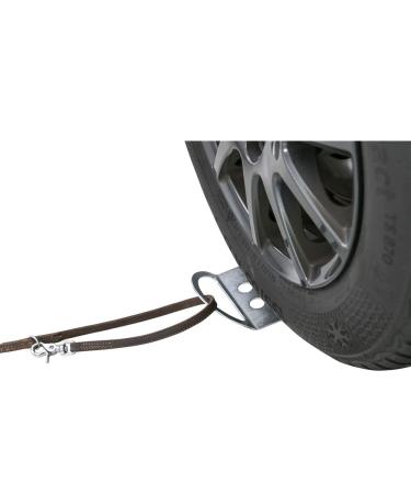 TRIXIE Rustproof Leash Option for Dogs on Cars Ramp Plate for Leashes 12 26 cm -13099 - Buy Online on GoSupps.com