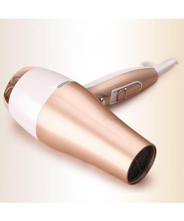 Professional Hair Dryer 2200W AC Motor Negative Ionic Technology Blow Dryer with 3 Heat & 2 Speed Setting and Cool Shot Button Concentrator Nozzle Included for Men and Women Small Gift - Buy Online on GoSupps.com