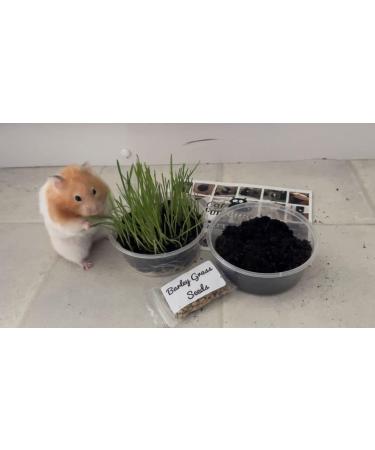 Cat Grass Barley 3 Pack by Cat FurNature - Buy Online on GoSupps.com