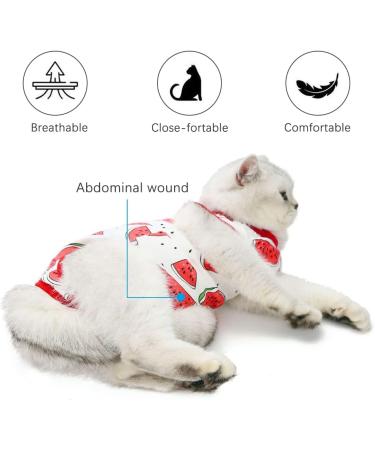 Buy Lxwsin Cat Recovery Suit - Breathable Cotton Anti-Licking Clothing for Cats | Pet Protection for Abdominal Wounds | Available in M & L - Buy Online on GoSupps.com