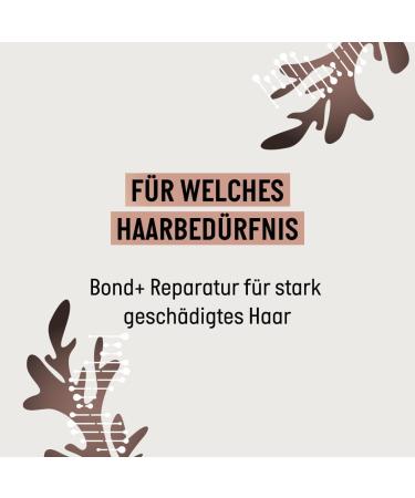  Guhl Guhl Bond+ Repair Kit - Contents: Bond+ Shampoo 250 ml + Conditioner 200 ml + Anti-Breakage Liquid 150 ml - Hair Fibre Structure Deep Inside Hair - No - Buy Online on GoSupps.com