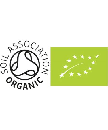 Organic Mung Beans 500g - High Fiber & Protein, Vegan & GMO-Free - Nutritious & Sustainable - Thames Organic - Buy Online on GoSupps.com