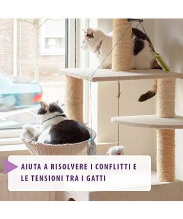 Feliway ADAPTIL Calm - Anti-Stress pour Chats - Recharge - 1 x 48 ML - Buy Online on GoSupps.com