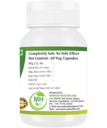 Morsan Healthcare Hadjod (Cissus Quadrangularis) Capsules | 500mg | Pack of 60 x 4 | Ayurvedic Herbal Supplement | Vegan Gluten-Free GMP Certified | Plant-Based Wellness Support - Buy Online on GoSupps.com