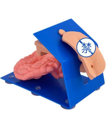 Urethral Catheterization Manikin Model for Medical Training | Female & Male Healthcare Simulation with Enema Model | International Shipping Available - Buy Online on GoSupps.com