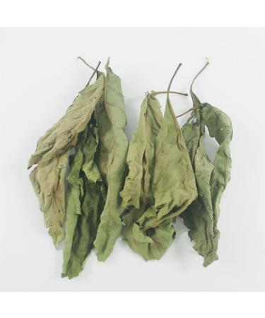 Bitter Leaf Tea 50g - Buy Online on GoSupps.com
