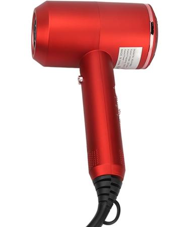 1800W Hair Dryer with Ion Tech Even Heating U Wire Overheat Protection Dual Nozzle for Fast Drying Removable Filter for Easy Maintenance (US Plug 110V) - Buy Online on GoSupps.com