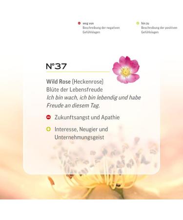 Original Bach Flower Drops No. 37 Wild Rose | Organic & Vegan | Lemon Pharma - International Shipping Available - Buy Online on GoSupps.com